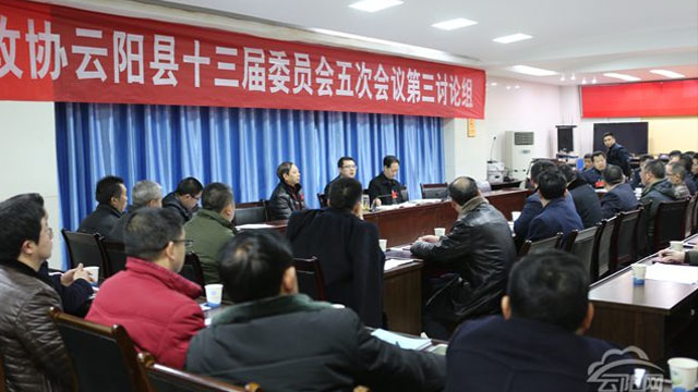 覃昌德等縣領(lǐng)導(dǎo)參加政協(xié)會分組討論圍繞中心建言獻策