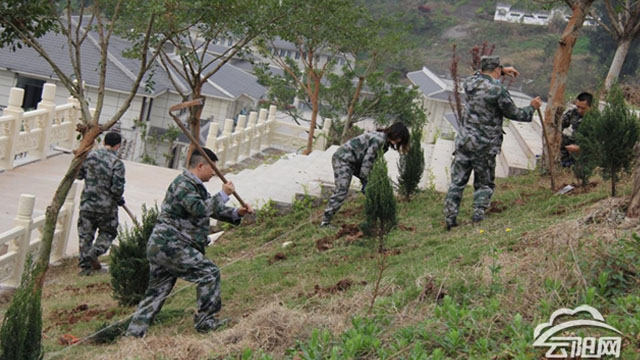 縣退役軍人事務(wù)局開展“我為祖國植10棵樹”活動